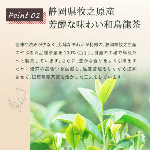 アップルミント×烏龍茶 ティーバッグ 2.5g×35p